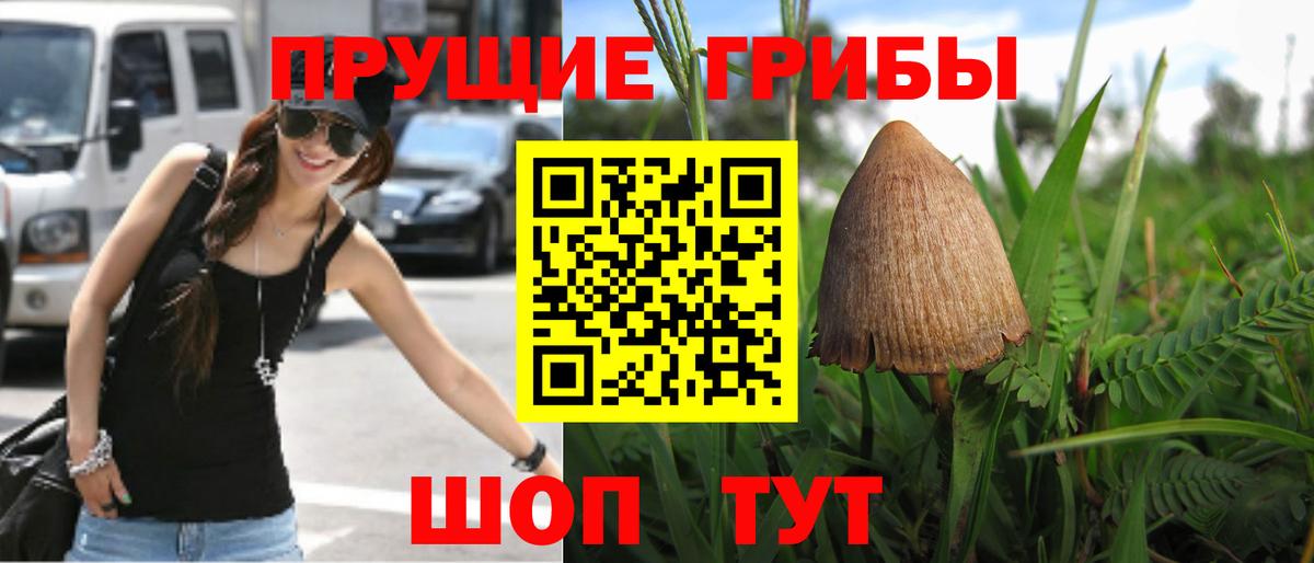 Донской  Псилоцибиновые грибы MAGIC MUSHROOMS  где купить наркоту  Вход с VPN 