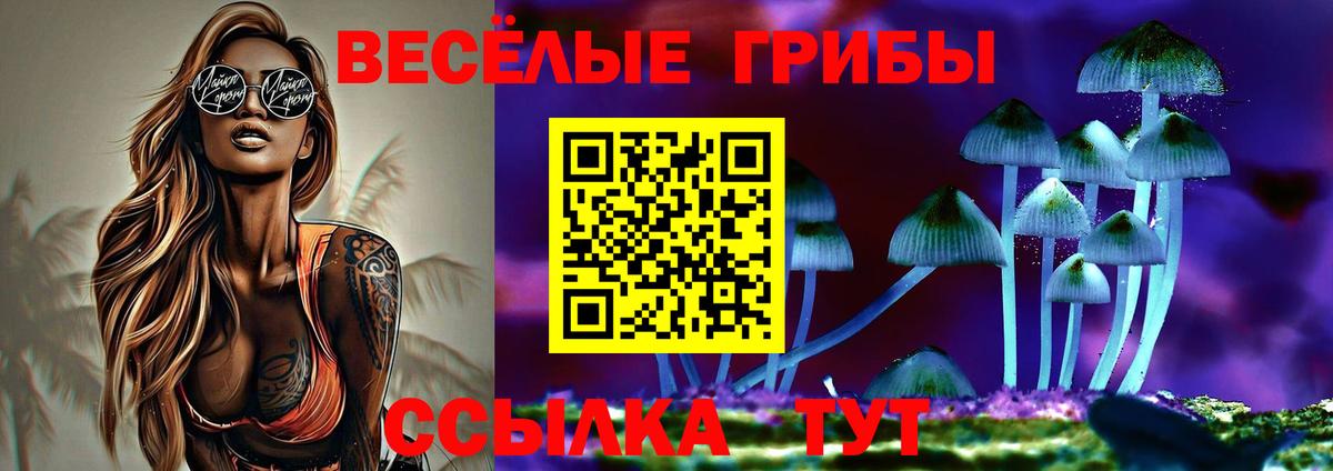 Галлюциногенные грибы Psilocybe Донской