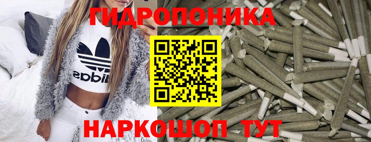 Марихуана план  Конопля Amnesia  Вход с VPN  Донской  Бошки марихуана Ganja 